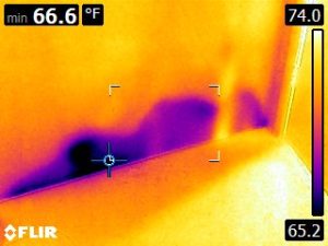 Infrared Thermography reading